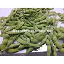 frozen soybeans